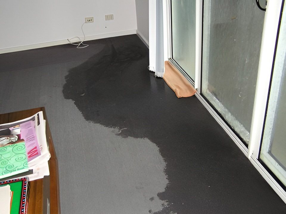 Carpet Flooring With Water Leak — Dryology Carpet Cleaning in Port Stephens, NSW