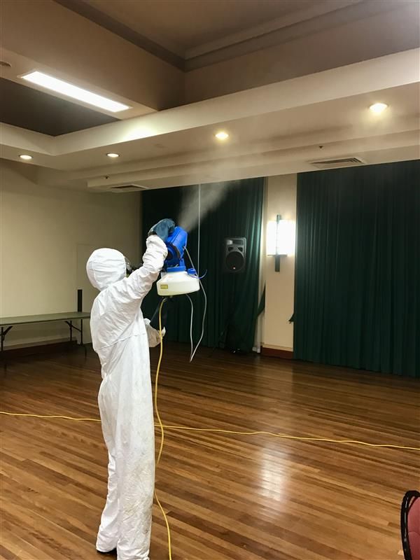 Hand in Yellow Glove Spraying Moldy Wall With Cleaning Solution — Dryology Carpet Cleaning in Sydney, NSW