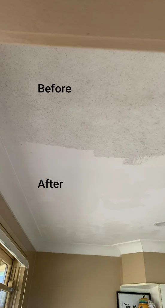 Ceiling Before and After Paint Application — Dryology Carpet Cleaning in Hamilton, NSW