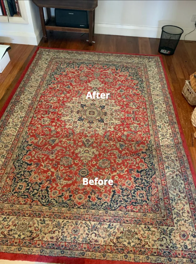 A Rug Patterned Rug That Has Been Half Cleaned — Dryology Carpet Cleaning in Salamander Bay, NSW