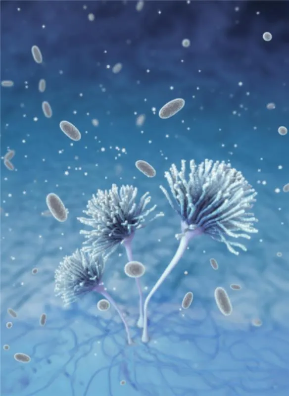 Illustration of Aspergillus mold with spores floating in a blue environment — Dryology Carpet Cleaning in Sydney, NSW